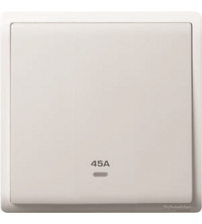 10AX 250V 4G 1W SW W FLUO LOC, WE